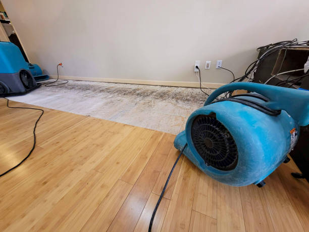 Professional Sewage Cleanup technician working in Lynn, AL
